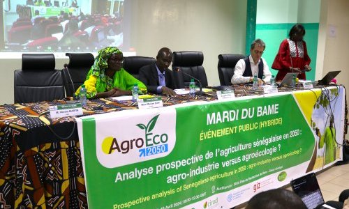 Comment nourrir le Sénégal à l'horizon 2050 : le BAME et ses partenaires suggèrent un scénario d'équilibre intitulé la « coexistence verte »