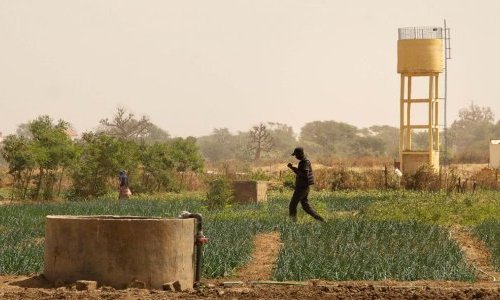 Projet MAHDIA : Mêler agroécologie et résilience hydrique pour des systèmes alimentaires durables en Afrique