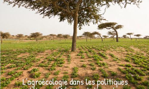 L'agroécologie dans les politiques publiques d'Afrique de l'ouest