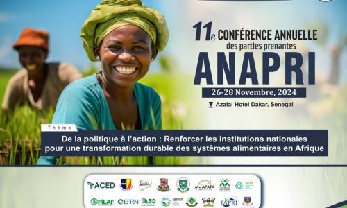  Rejoignez-nous à la 11<sup class="typo_exposants">e</sup> conférence de l'ANAPRI à Dakar, au Sénégal, du 26 au 28 novembre 2024.