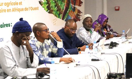 Participation de BioStar à la Conférence internationale sur le futur du travail et de l'emploi dans le secteur agricole et agroalimentaire en Afrique de l'Ouest