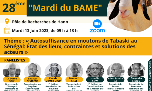 DANS L'AGENDA... 28<sup class="typo_exposants">e</sup> « Mardi du BAME » sur le thème « Autosuffisance en moutons de Tabaski au Sénégal : état des lieux, contraintes et solutions des acteurs »