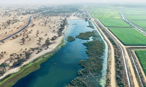 REGARD D'EXPERT (CIRAD) : Pour un développement rural qui ne laisse personne de côté : regards sur le delta du fleuve Sénégal