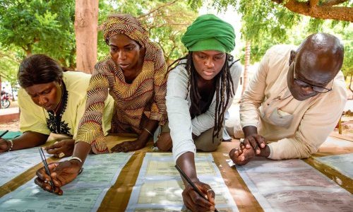  Atelier d'idéotypage : La DyTAEL de Fatick construit sa vision pour un département agroécologique en 2035