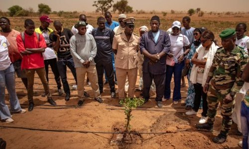 Sénégal : Inauguration d'un réseau de 38 fermes-pilotes « agrécolieutiques » pour le Living Lab de Mbane.